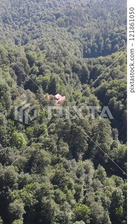 Mountian Forest Natural Lake 121861050