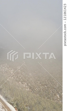 Winter foggy forest snow aerial view 121861423