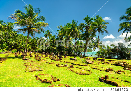 Cemetery on Ile Saint Joseph - Salvation Islands in French Guiana, South America Cemetery on Ile Saint Joseph - Salvation Islands in French Guiana, South America 121861570