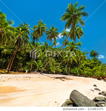 Tropical Beach on Saint Joseph Island, Part of the Salvation Islands in French Guiana, South America Tropical Beach on Saint Joseph Island, Part of the Salvation Islands in French Guiana, South America 121861571