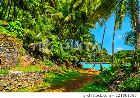 Remains of notorious penal colony in Saint Joseph Island, Salvation Islands, French Guiana, South America 121861588
