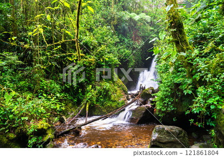 Waterfall on the Quindio River in the scenic Cocora Valley, Colombia 121861804