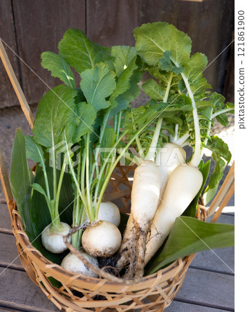 Radishes and turnips in a basket Radishes and turnips in a basket 121861900