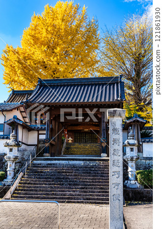 Autumn leaves of large ginkgo tree at Kyoshuji Temple [Nagasaki City] 121861930