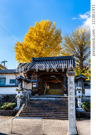 Autumn leaves of large ginkgo tree at Kyoshuji Temple [Nagasaki City] 121861931