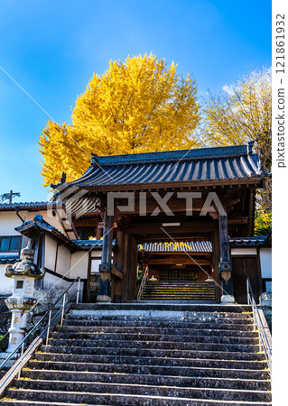 京秋寺大銀杏樹的秋葉【長崎市】 121861932