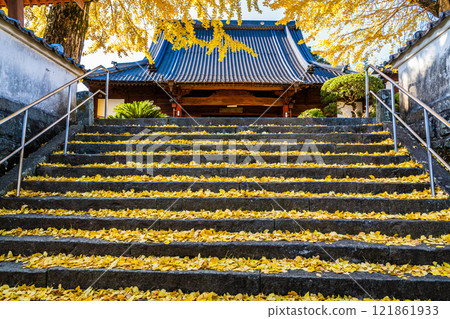 京秋寺大銀杏樹的秋葉【長崎市】 121861933