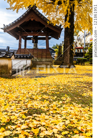 Autumn leaves of large ginkgo tree at Kyoshuji Temple [Nagasaki City] 121861951