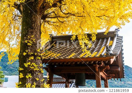 京秋寺大銀杏樹的秋葉【長崎市】 121861959