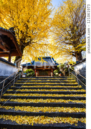 京秋寺大銀杏樹的秋葉【長崎市】 京秋寺大銀杏樹的秋葉【長崎市】 121861973