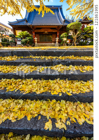 京秋寺大銀杏樹的秋葉【長崎市】 京秋寺大銀杏樹的秋葉【長崎市】 121861995