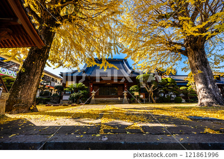 京秋寺大銀杏樹的秋葉【長崎市】 121861996