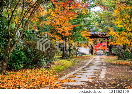 天佑寺的紅葉【長崎縣諫早市】 121862109