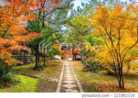 Autumn leaves at Tenyuji Temple [Isahaya City, Nagasaki Prefecture] 121862110