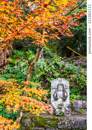 Autumn leaves at Tenyuji Temple [Isahaya City, Nagasaki Prefecture] 121862111