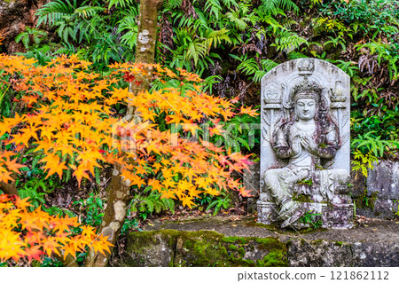 Autumn leaves at Tenyuji Temple [Isahaya City, Nagasaki Prefecture] 121862112
