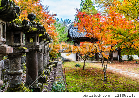Autumn leaves at Tenyuji Temple [Isahaya City, Nagasaki Prefecture] 121862113