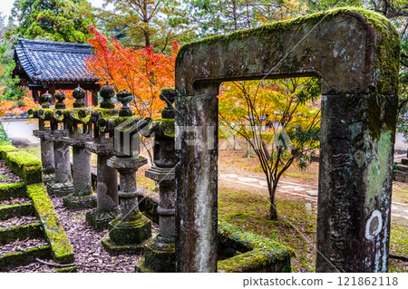 Autumn leaves at Tenyuji Temple [Isahaya City, Nagasaki Prefecture] 121862118