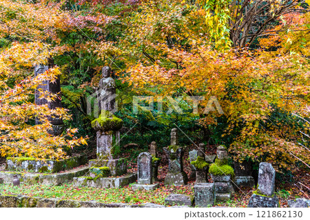 Autumn leaves at Tenyuji Temple [Isahaya City, Nagasaki Prefecture] 121862130