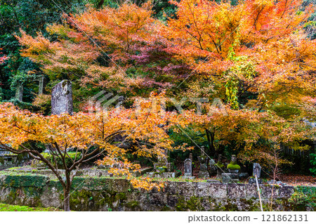 Autumn leaves at Tenyuji Temple [Isahaya City, Nagasaki Prefecture] 121862131