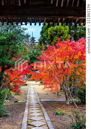 Autumn leaves at Tenyuji Temple [Isahaya City, Nagasaki Prefecture] 121862134