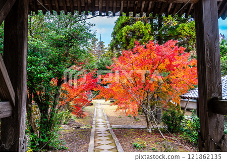 Autumn leaves at Tenyuji Temple [Isahaya City, Nagasaki Prefecture] 121862135