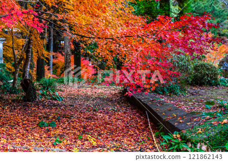 天佑寺的紅葉【長崎縣諫早市】 121862143