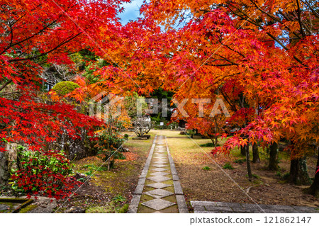 Autumn leaves at Tenyuji Temple [Isahaya City, Nagasaki Prefecture] 121862147