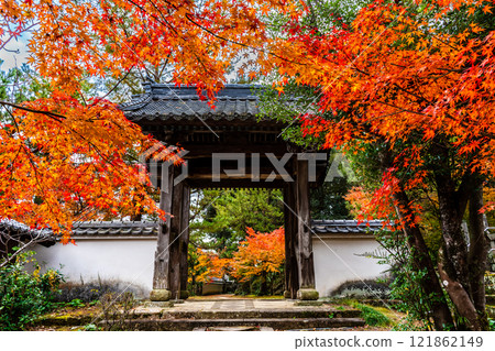 Autumn leaves at Tenyuji Temple [Isahaya City, Nagasaki Prefecture] 121862149
