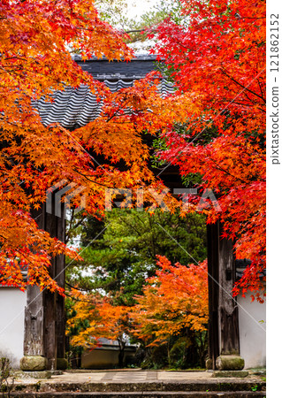 天佑寺的紅葉【長崎縣諫早市】 121862152