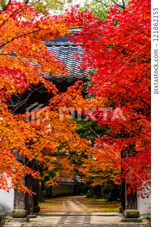Autumn leaves at Tenyuji Temple [Isahaya City, Nagasaki Prefecture] 121862155