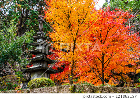 天佑寺的紅葉【長崎縣諫早市】 121862157