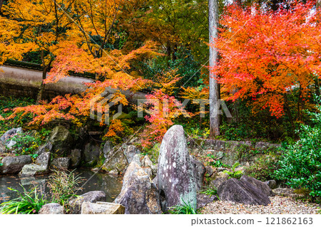 天佑寺的紅葉【長崎縣諫早市】 天佑寺的紅葉【長崎縣諫早市】 121862163