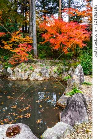 Autumn leaves at Tenyuji Temple [Isahaya City, Nagasaki Prefecture] 121862165