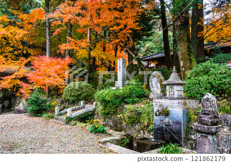 Autumn leaves at Tenyuji Temple [Isahaya City, Nagasaki Prefecture] 121862179