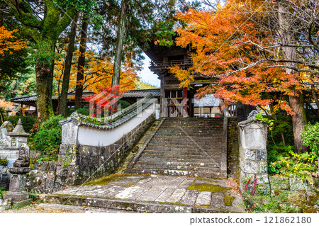 天佑寺的紅葉【長崎縣諫早市】 天佑寺的紅葉【長崎縣諫早市】 121862180