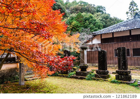 Autumn leaves at Tenyuji Temple [Isahaya City, Nagasaki Prefecture] 121862189