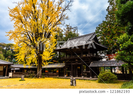天佑寺的紅葉【長崎縣諫早市】 121862193