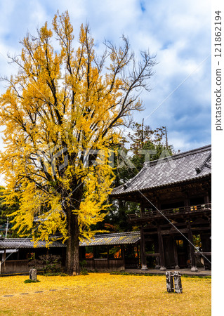 天佑寺的紅葉【長崎縣諫早市】 121862194