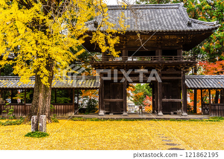 Autumn leaves at Tenyuji Temple [Isahaya City, Nagasaki Prefecture] 121862195