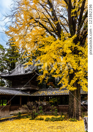 Autumn leaves at Tenyuji Temple [Isahaya City, Nagasaki Prefecture] 121862196