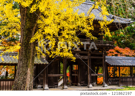 Autumn leaves at Tenyuji Temple [Isahaya City, Nagasaki Prefecture] 121862197