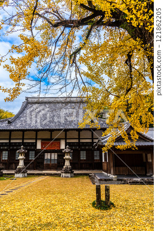 天佑寺的紅葉【長崎縣諫早市】 121862205