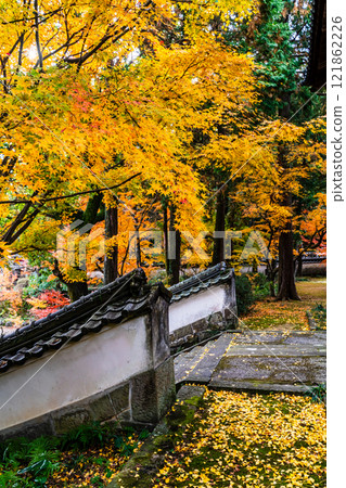 天佑寺的紅葉【長崎縣諫早市】 121862226