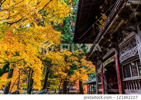 天佑寺的紅葉【長崎縣諫早市】 天佑寺的紅葉【長崎縣諫早市】 121862227