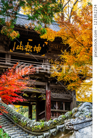 Autumn leaves at Tenyuji Temple [Isahaya City, Nagasaki Prefecture] 121862234