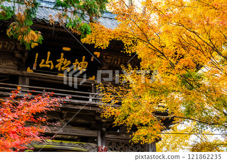 天佑寺的紅葉【長崎縣諫早市】 121862235