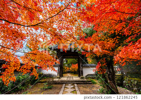 天佑寺的紅葉【長崎縣諫早市】 121862245