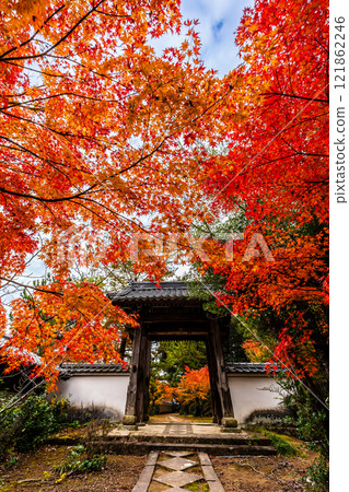 天佑寺的紅葉【長崎縣諫早市】 121862246