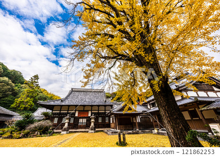 Autumn leaves at Tenyuji Temple [Isahaya City, Nagasaki Prefecture] 121862253